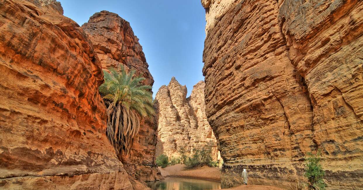 An oasis in the Sahara Desert, Algeria